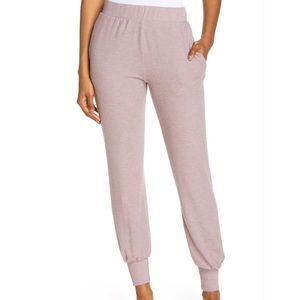 PROJECT SOCIAL T Cozy Joggers In Dusty Lavender